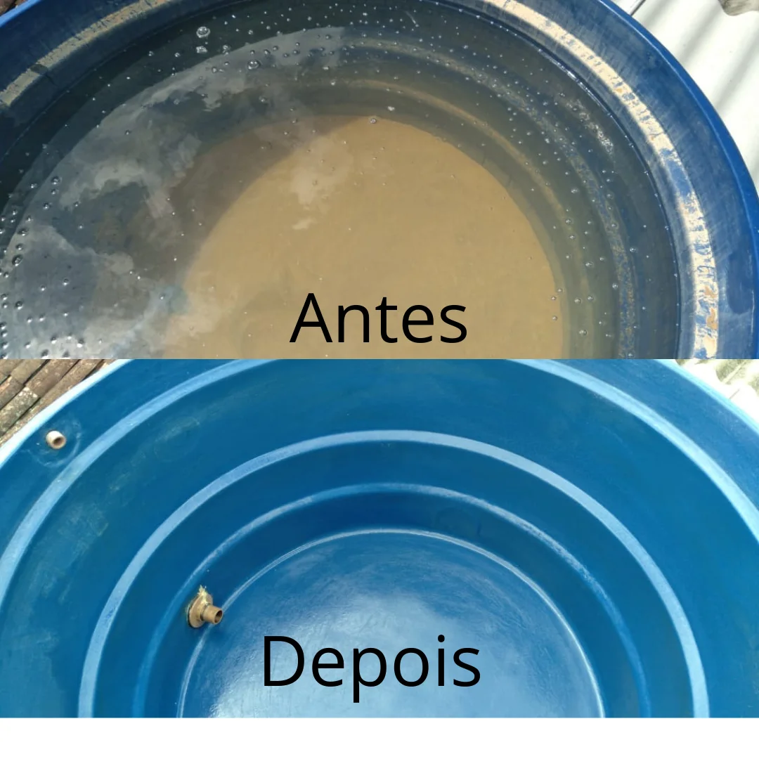 Global controle de pragas dedetização